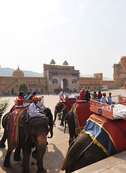 Elephant Ride - Amber Fort, Jaipur